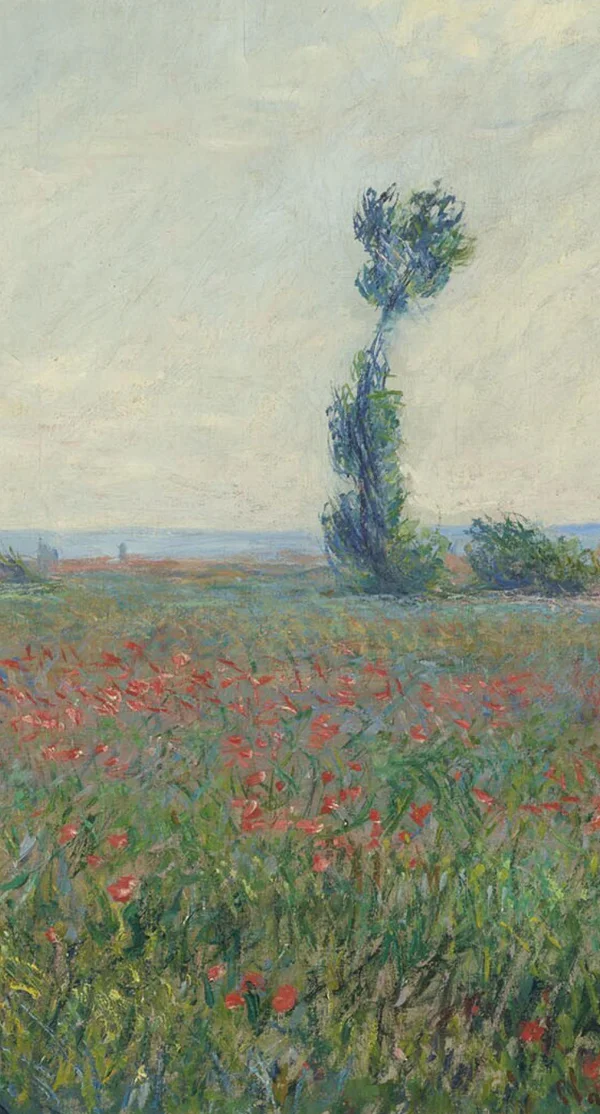 Claude Monet, Papaverveld (Champ de coquelicots), 1881, olieverf op doek, Museum Boijmans Van Beuningen, Rotterdam. Verworven met de verzameling van D.G. van Beuningen 1958
